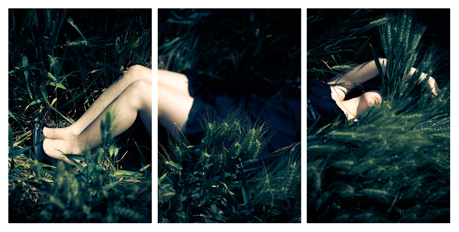 Camille - in the Field Triptych by Tom Spianti