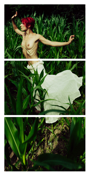 Morgana - posing in a field triptych by Tom Spianti