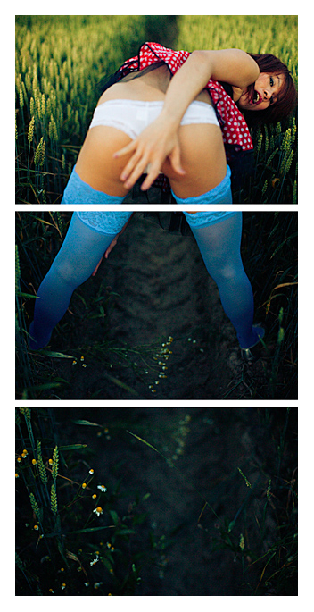 Yiting - Panties in a field Triptych by Tom Spianti